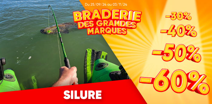 offre silure 