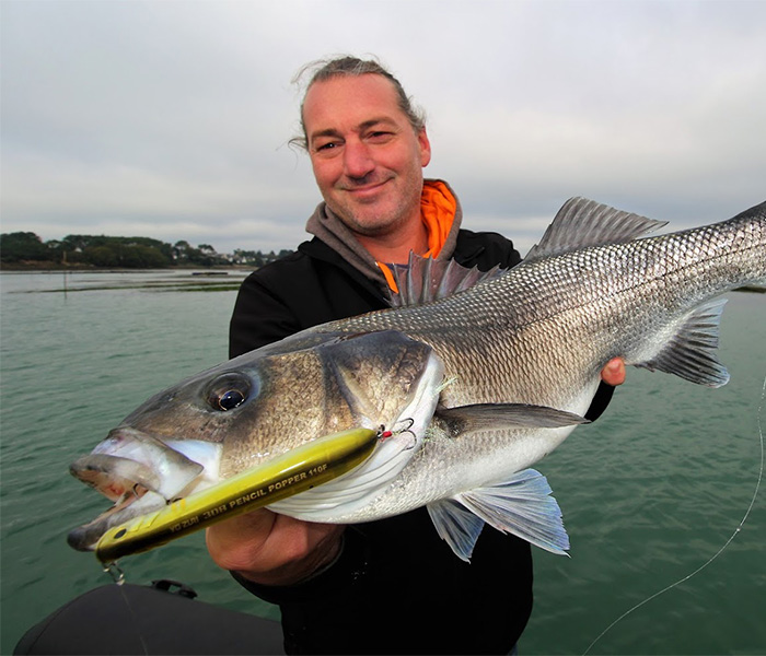 pêche du bar aux leurres en bretagne