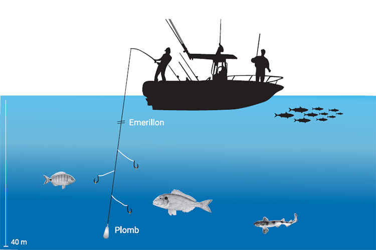 Pêche en mer : techniques et matériel