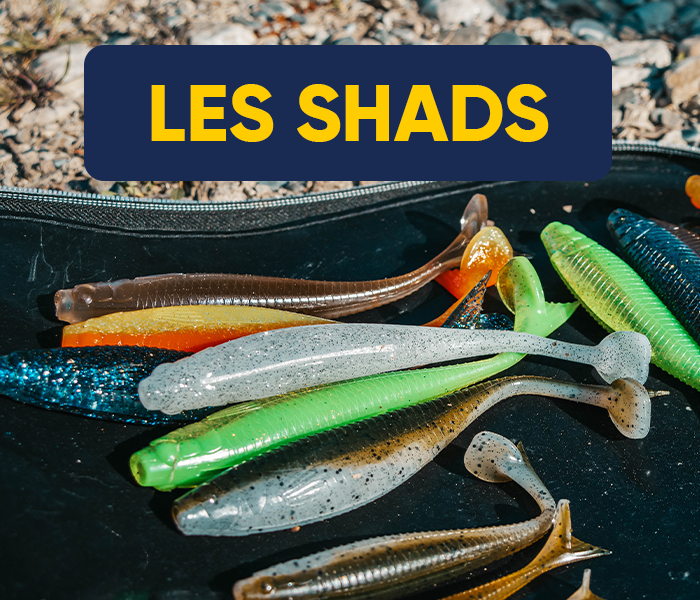 leurres shads pour drop-shot