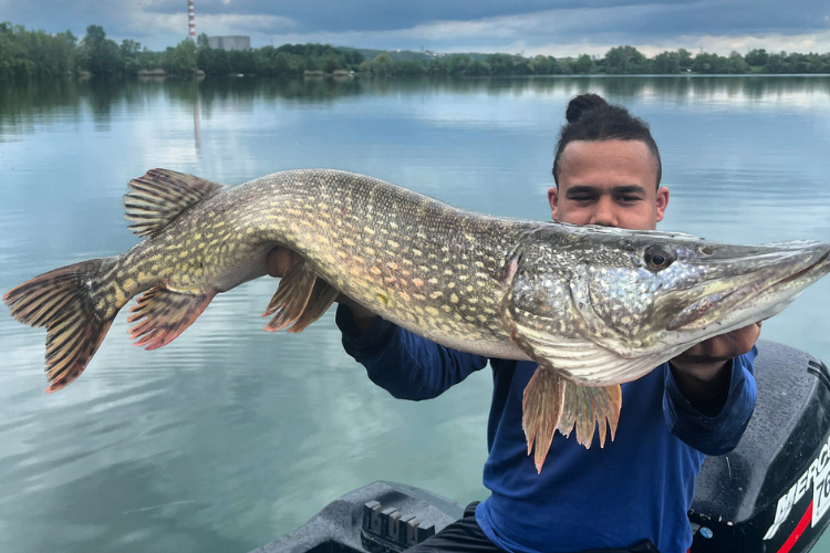 pêche d'un silure