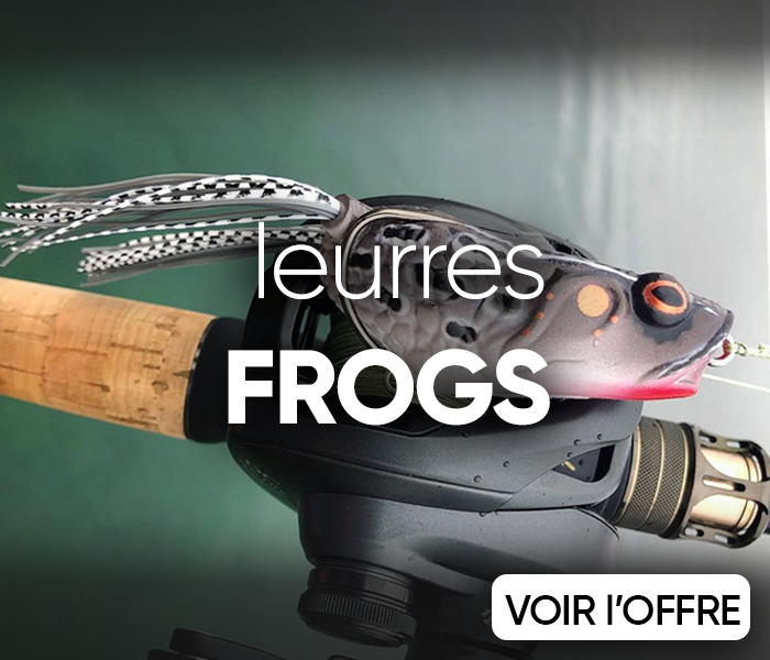 Leurre de surface frog