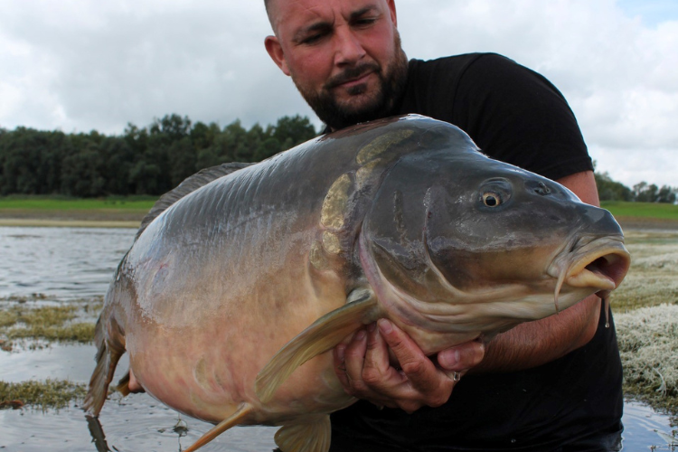 Pêche à la carpe avec mass baiting