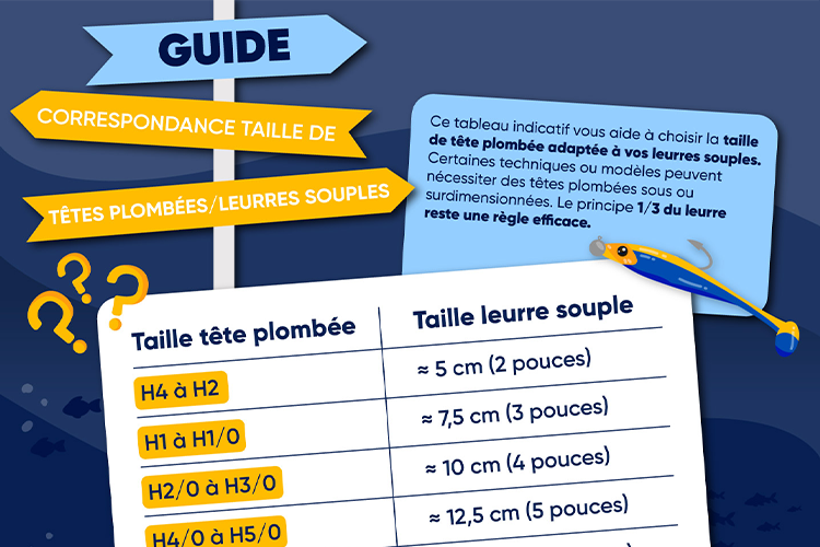 Guide de correspondance TP / Leurres Souples