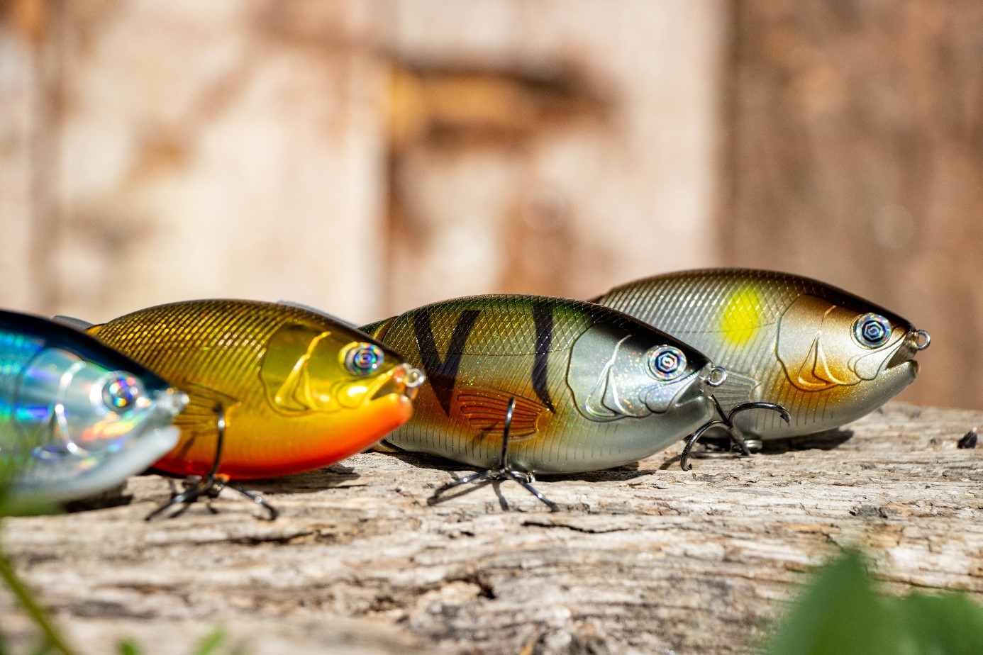 peurres carnassier couleurs