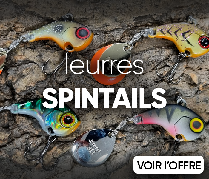 Spintail pour pêcher en été