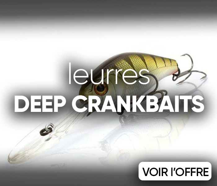 deep crankbaits pour pêcher en été