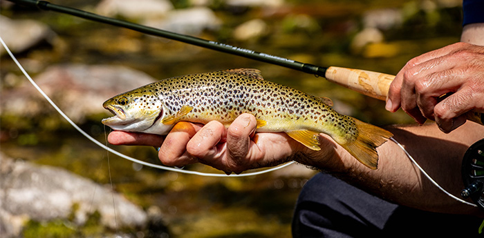 Calendrier pêche 2025