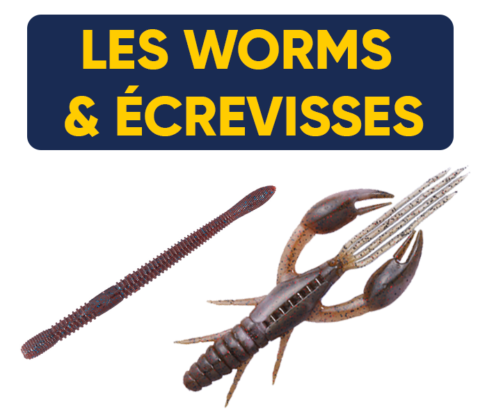 worm et ecrevisses